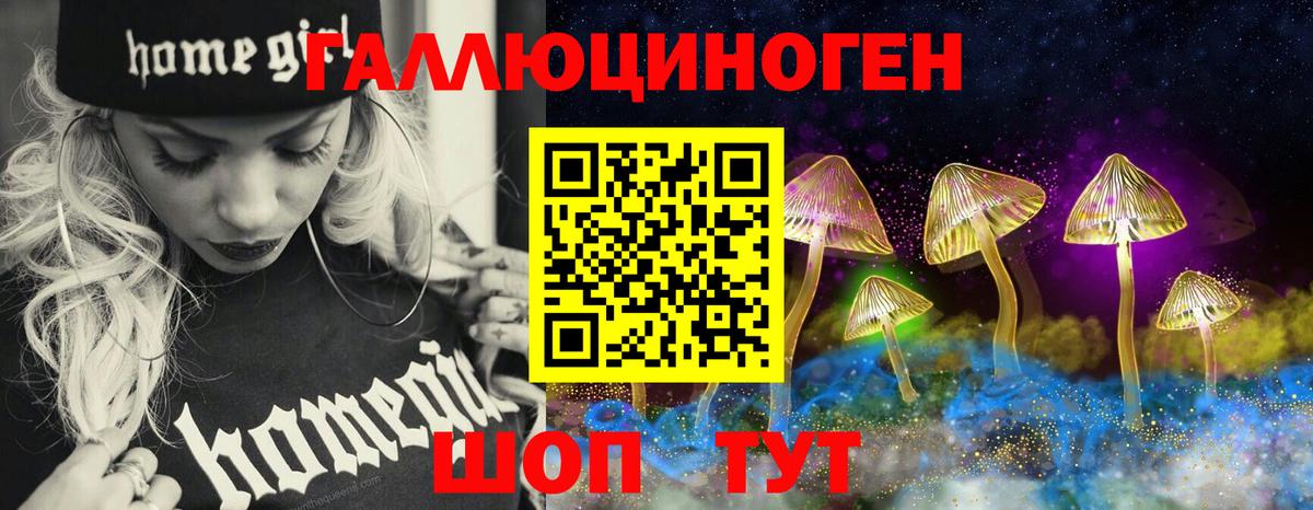 Гусь-Хрустальный  Псилоцибиновые грибы прущие грибы  Вход с VPN 